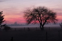 Sunset (Gieterveen, the Netherlands)